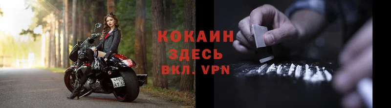 Cocaine Fish Scale  KRAKEN tor  Апрелевка 