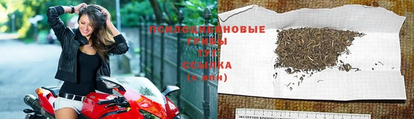 PSILOCYBIN Тольятти