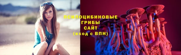 амф Барнаул