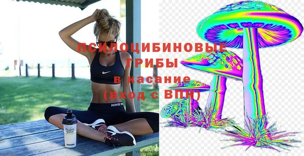 PSILOCYBIN Тольятти
