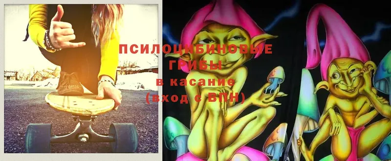 что такое наркотик  Апрелевка  Галлюциногенные грибы мицелий 