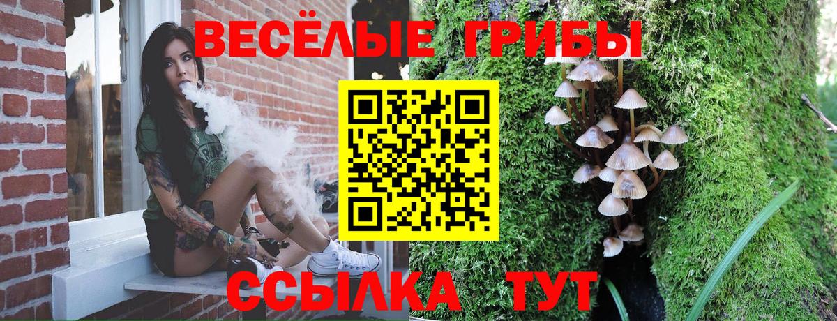 Псилоцибиновые грибы Cubensis Апрелевка