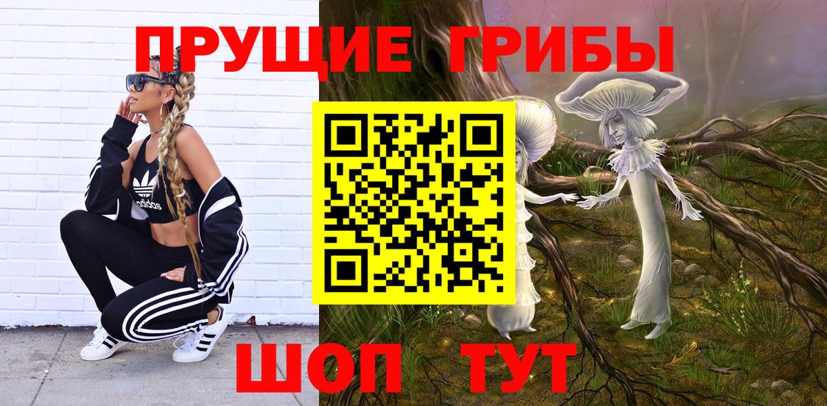 сколько стоит  Галлюциногенные грибы Magic Shrooms  Апрелевка  Вход с VPN  Псилоцибиновые грибы GOLDEN TEACHER 