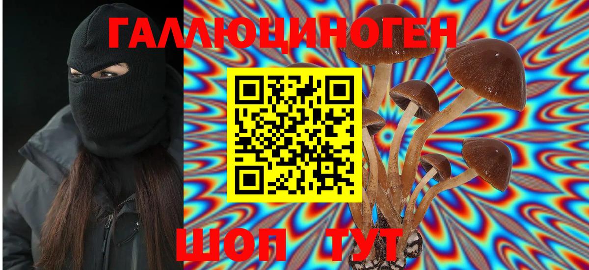 Псилоцибиновые грибы ЛСД  Апрелевка  Галлюциногенные грибы мицелий 